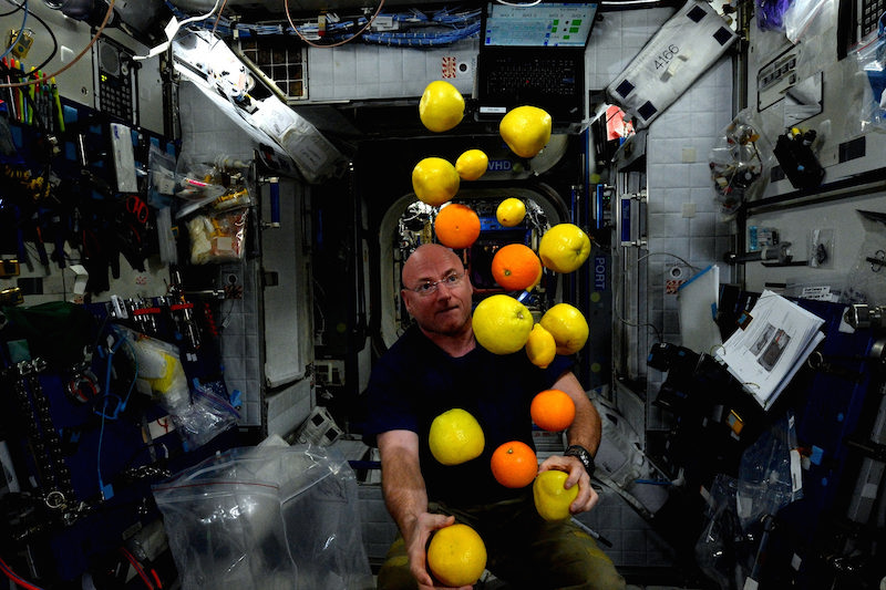 Illustration for article titled 51 Favourite Photos from Astronaut Scott Kelly's First Six Months in Space